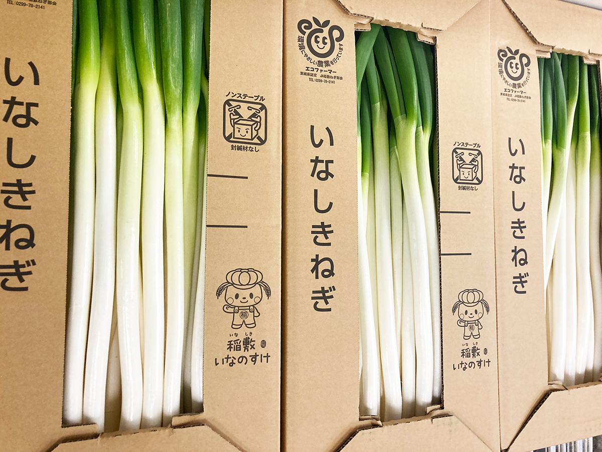 国産長ねぎ 約5kg 産地箱 M〜2Lサイズ｜埼玉 茨城 千葉 群馬県産｜太く