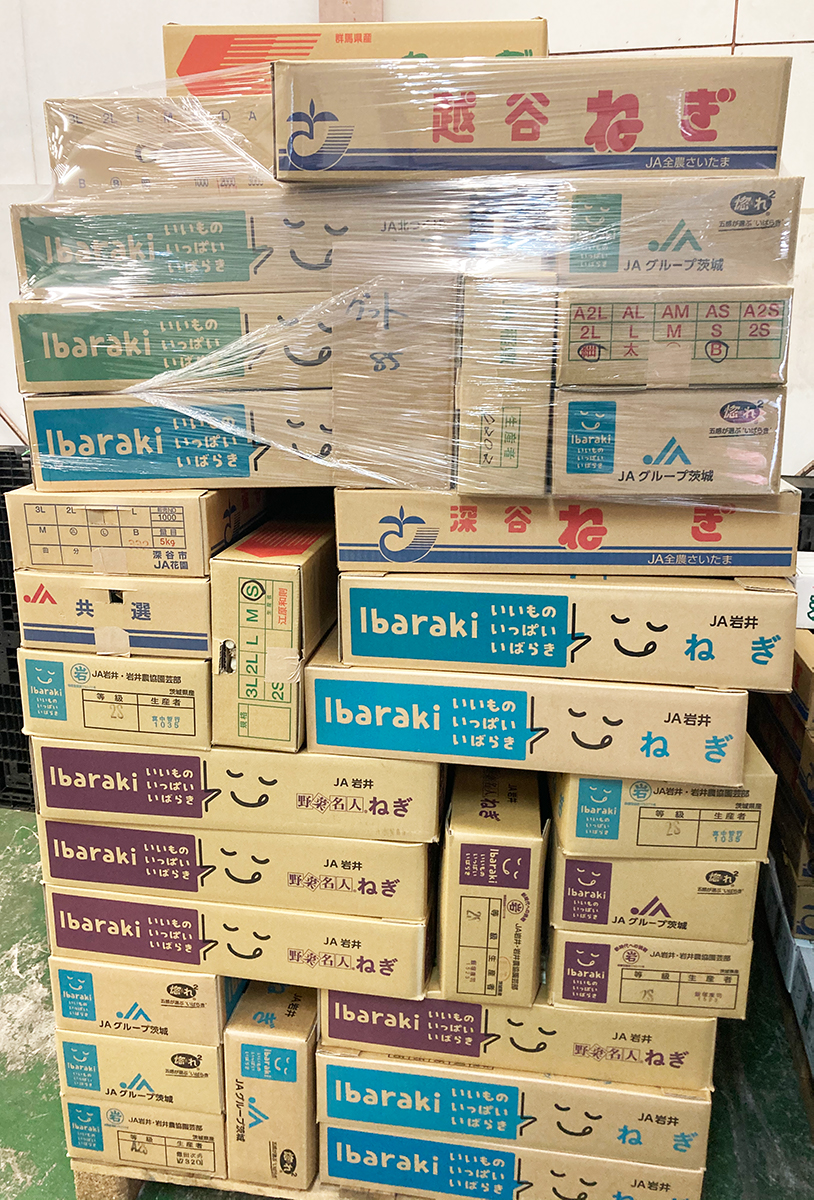 国産長ねぎ 約10kg（5kg×2箱）産地箱 M〜2L｜埼玉 茨城 千葉 群馬県産
