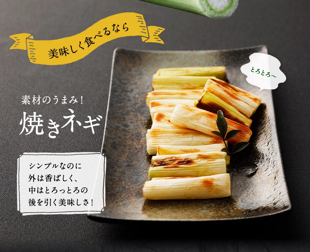 国産長ねぎ 約10kg（5kg×2箱）産地箱 M〜2L｜埼玉 茨城 千葉 群馬県産