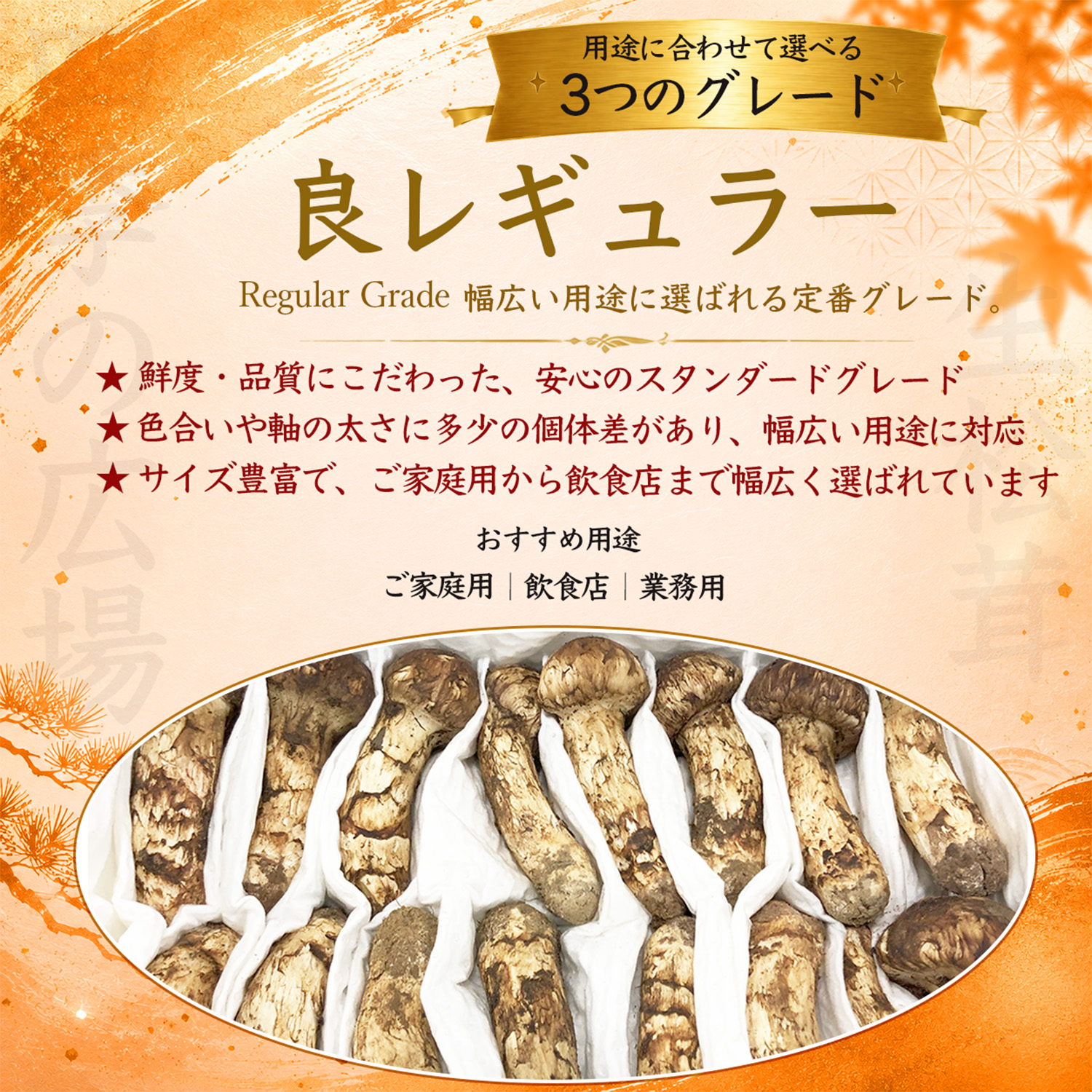 生松茸 約1kg 箱 中つぼみ(半開き) 特選 中国雲南産 天然まつたけ