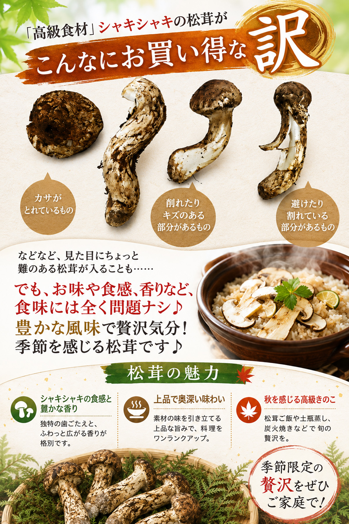 生松茸 訳あり 約1kg 箱 ＜開き方・大きさおまかせ＞ 中国雲南産 天然
