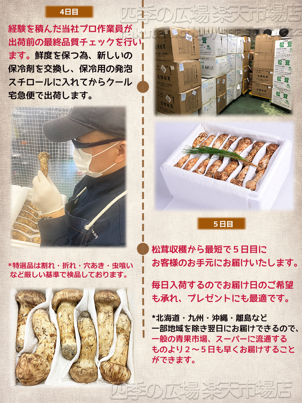 生松茸 約500g 箱 つぼみ 特選 中国雲南産 天然まつたけ｜空輸直送