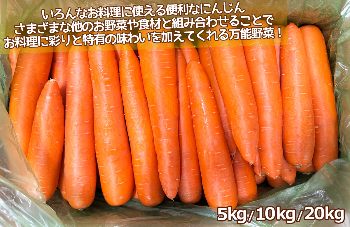 にんじん 約20kg L〜2Lサイズ｜中国産 人参｜業務用 野菜 鮮度良好で
