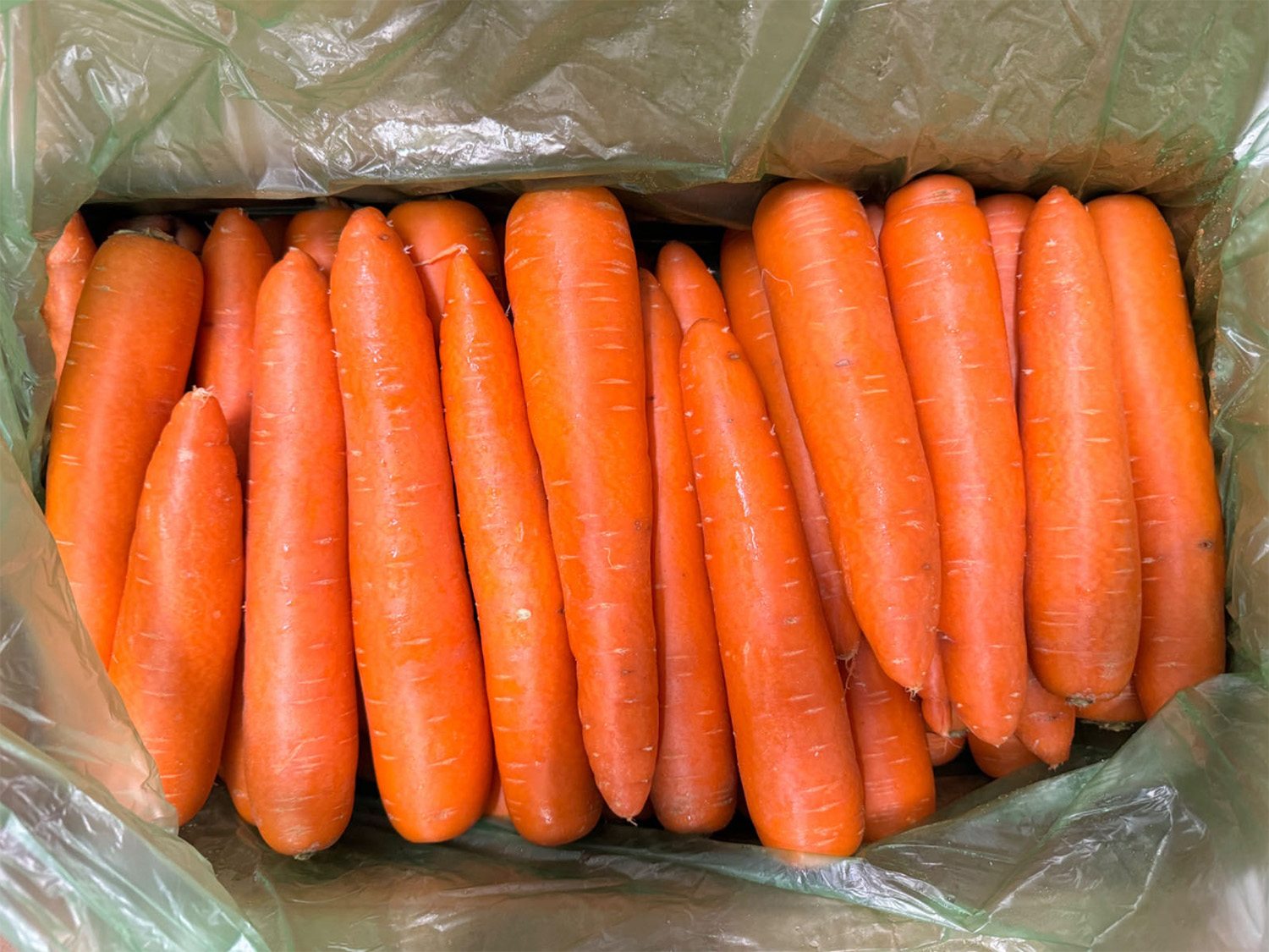 ご予約品 人参25kg にんじん 約10kg L〜2Lサイズ｜中国産 人参｜業務用 野菜 鮮度良好で