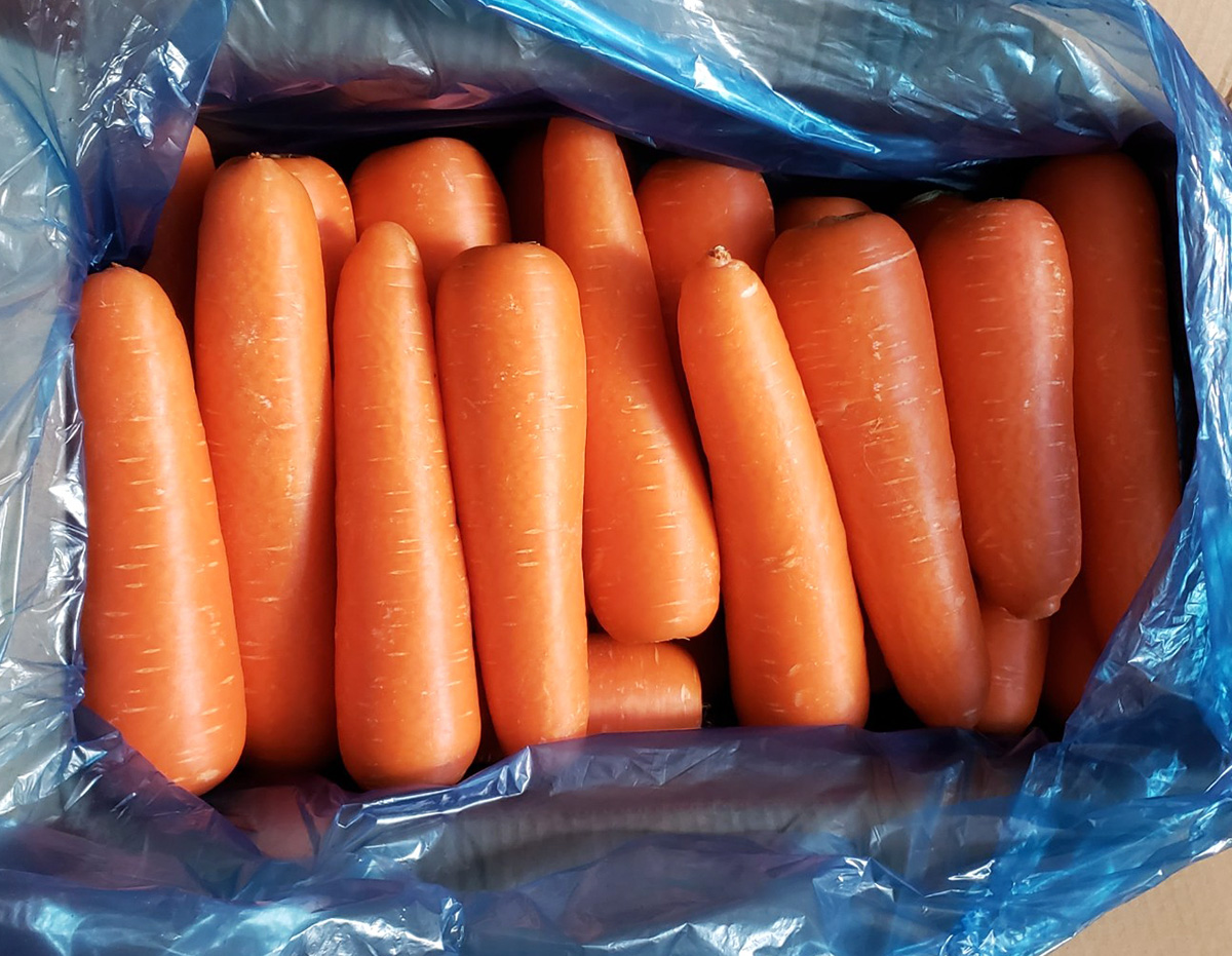 ご予約品 人参25kg にんじん 約10kg L〜2Lサイズ｜中国産 人参｜業務用 野菜 鮮度良好で