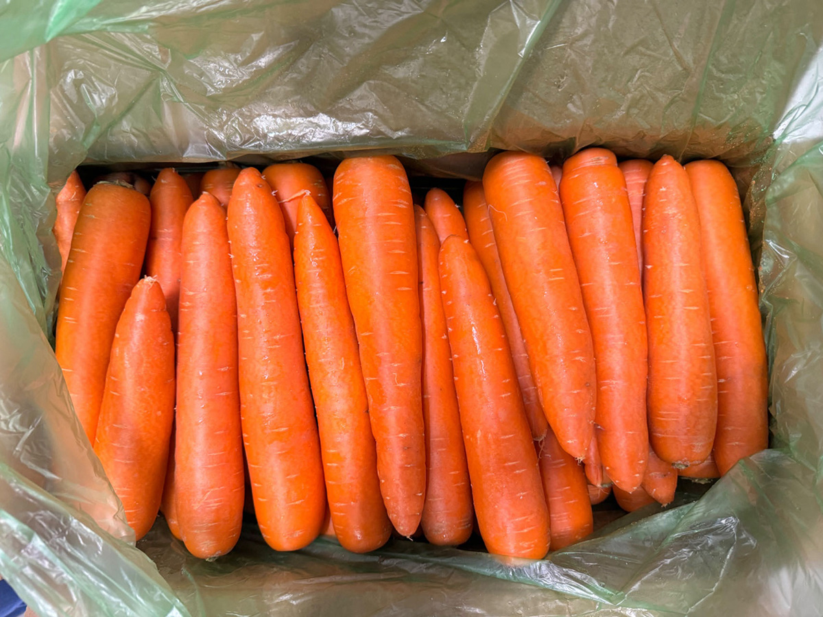 にんじん 約10kg L〜2Lサイズ｜中国産 人参｜業務用 野菜 鮮度良好で