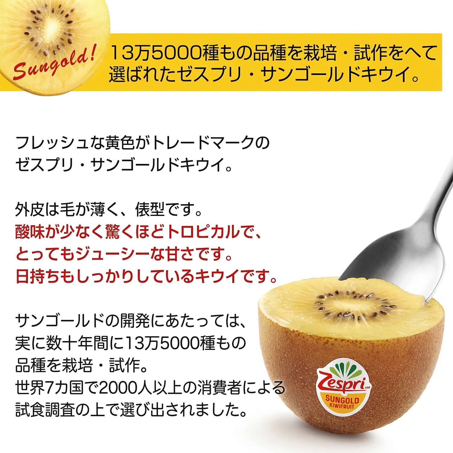 有機JAS認証＞ゼスプリ オーガニック サンゴールドキウイ 約3kg（22~30