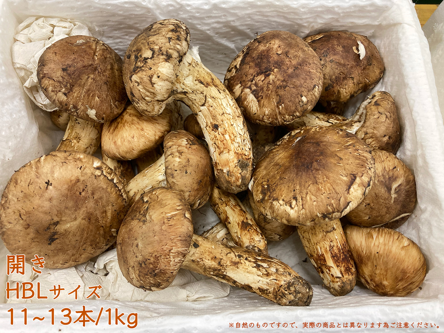 松茸（食品）のおすすめ人気商品一覧 通販 - Yahoo!ショッピング