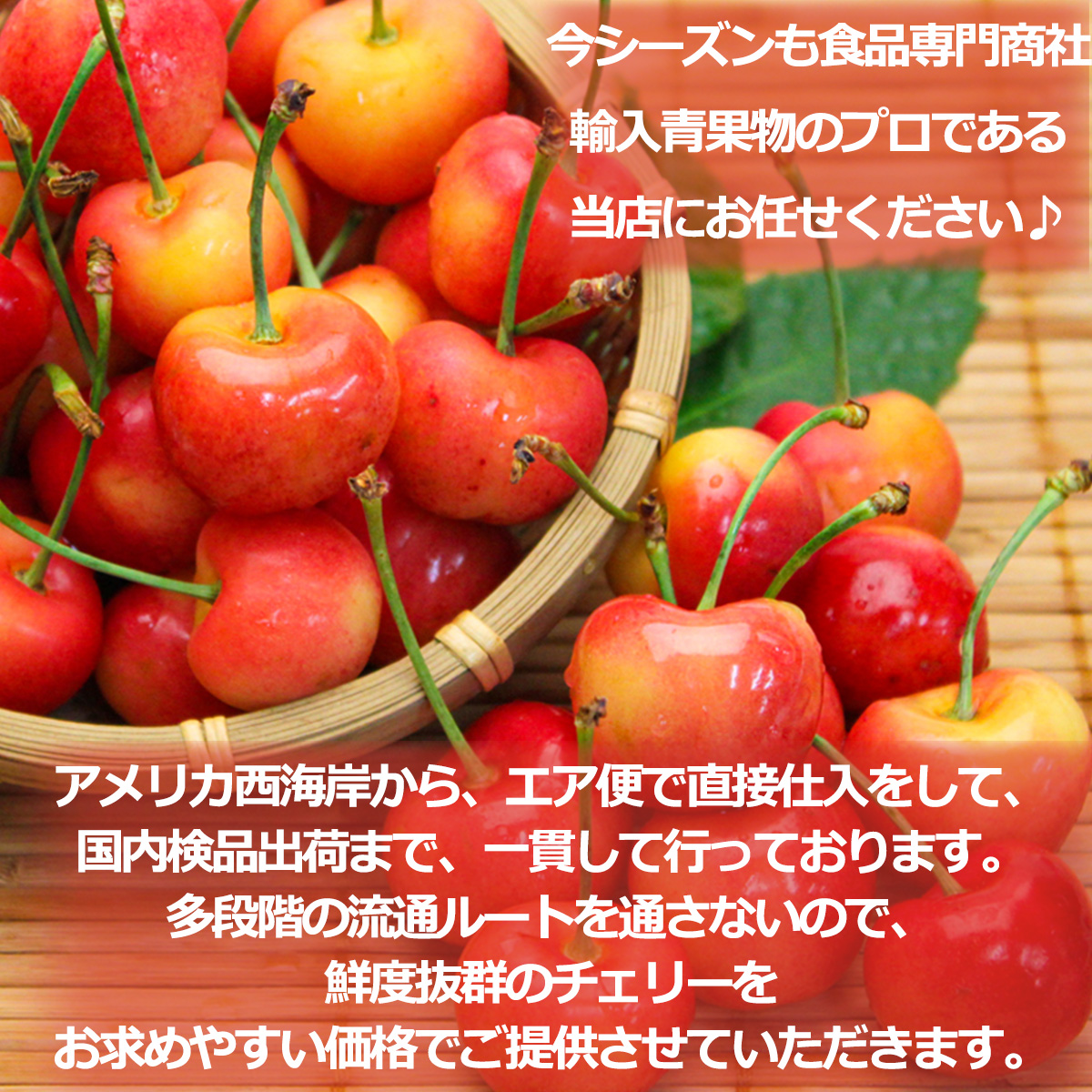 レイニアチェリー2.2kg爆大号高級贈答 レイニアチェリー ワシントン州産 GEE WHIZ AUVIL FRUIT | G-Call