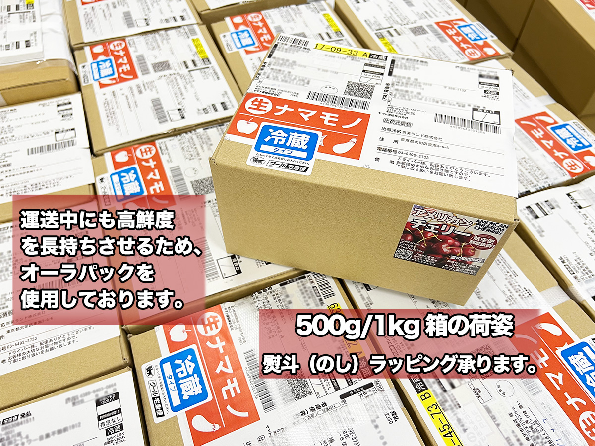 レーニアチェリー 約2kg 超大粒9.5row｜ワシントン州産 アメリカンチェリー レイニア種｜空輸 高糖度で上品な甘み さくらんぼ｜家庭用 お中元 贈答用｜国内検品_9