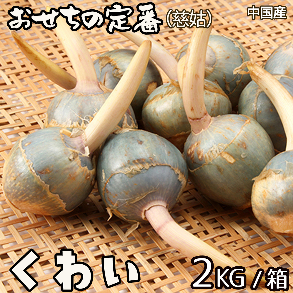 くわい　L 1600g 9000円 生くわい 約500g おせちの定番 青種クワイ 慈姑 中国産 お正月の縁起物