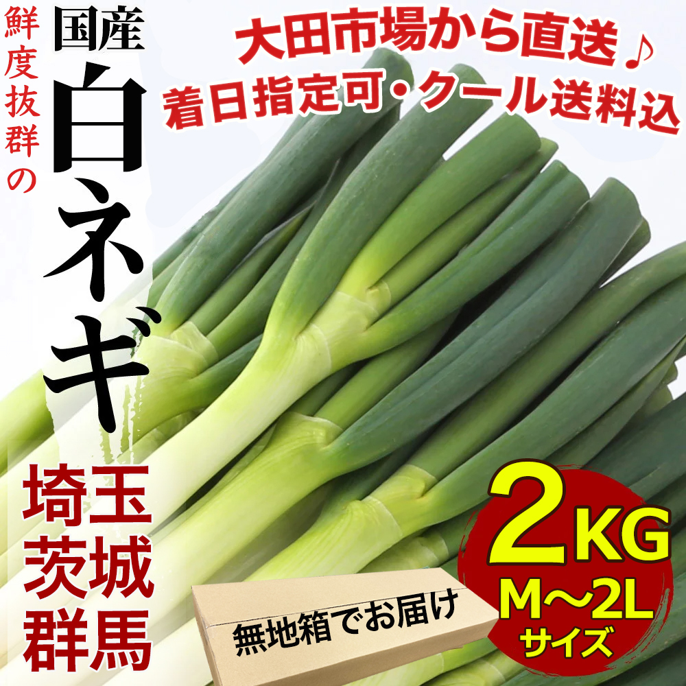 長ねぎ ネギ 業務用 20kg ＜5キロ×4箱＞160本前後入 L~2Lサイズ