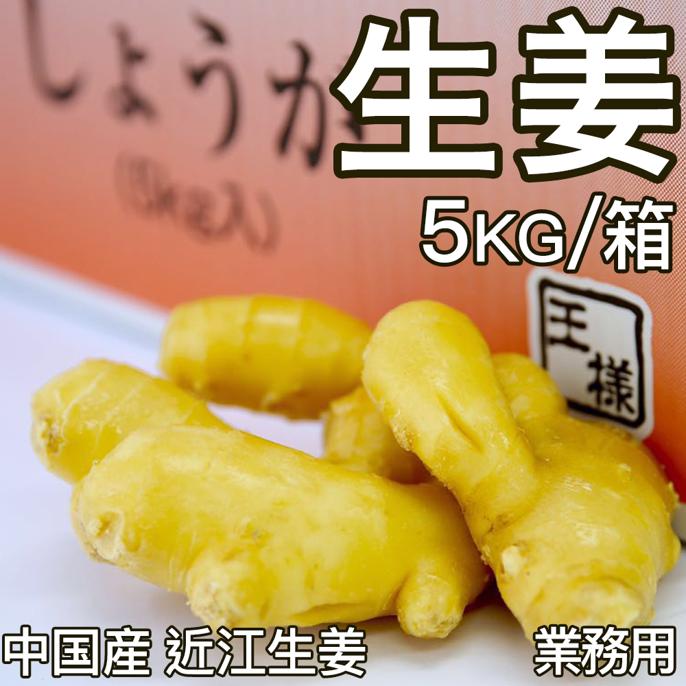 千葉県産 近江生姜 種　約5kg 黄金生姜 特選 5kg/箱 Lサイズ バラ積 業務用 中国産 食用近江生姜