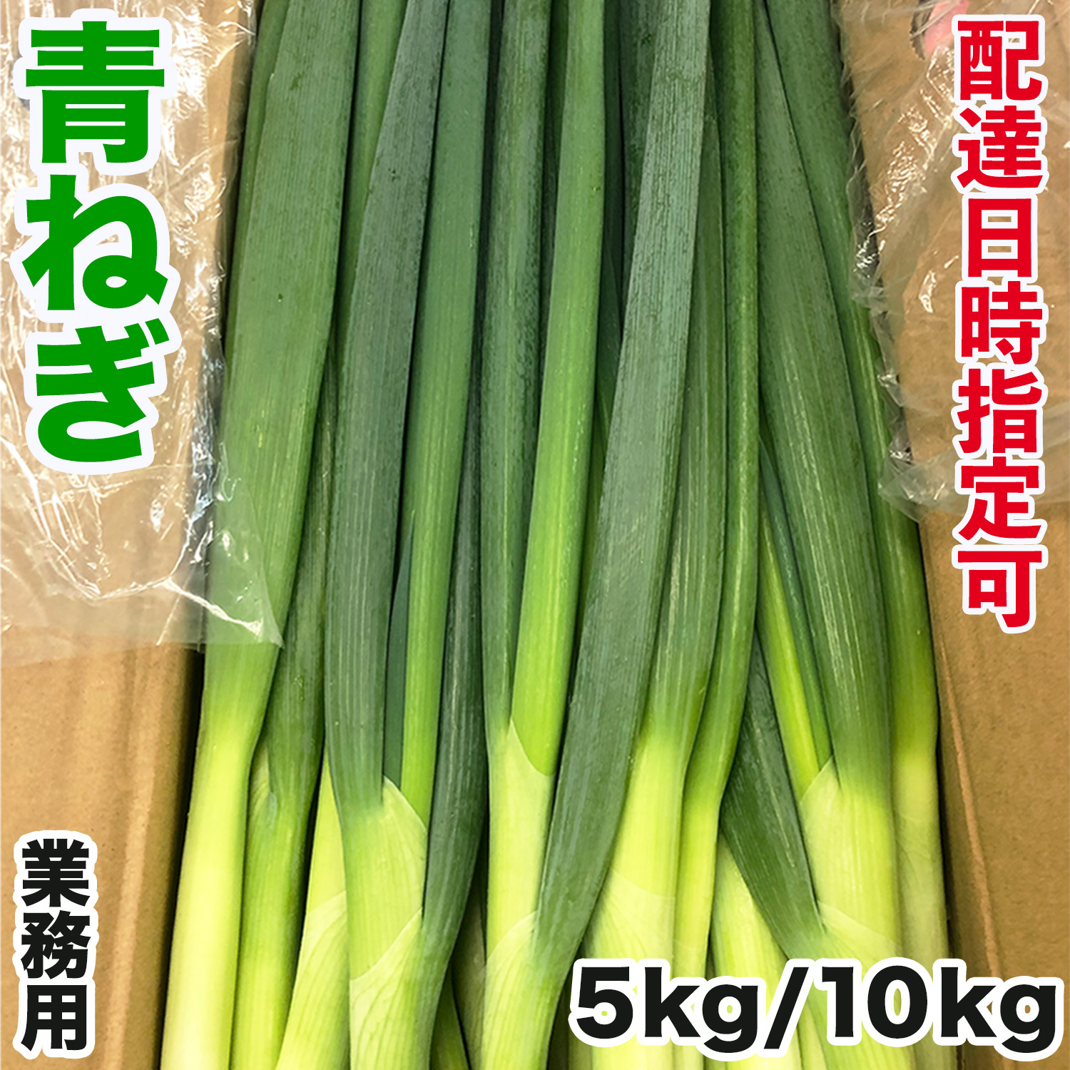 根っ子無し青ネギ 10Kg 青ねぎ 業務用 約10kg（5kg×2箱）S/Mサイズ｜中国産 青ネギ｜長さが