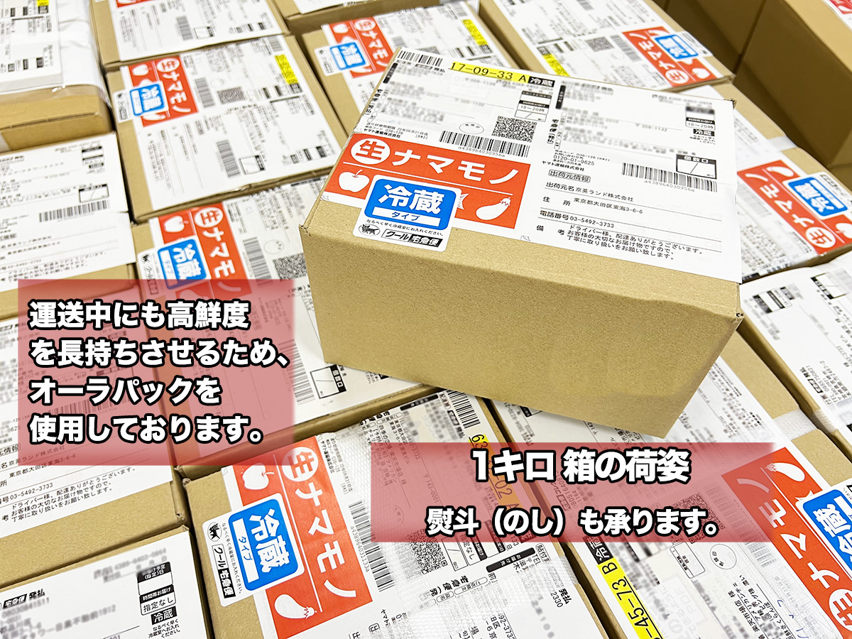 種無し生ライチ 約2kg 約40玉前後 大玉｜中国産 無核ライチ