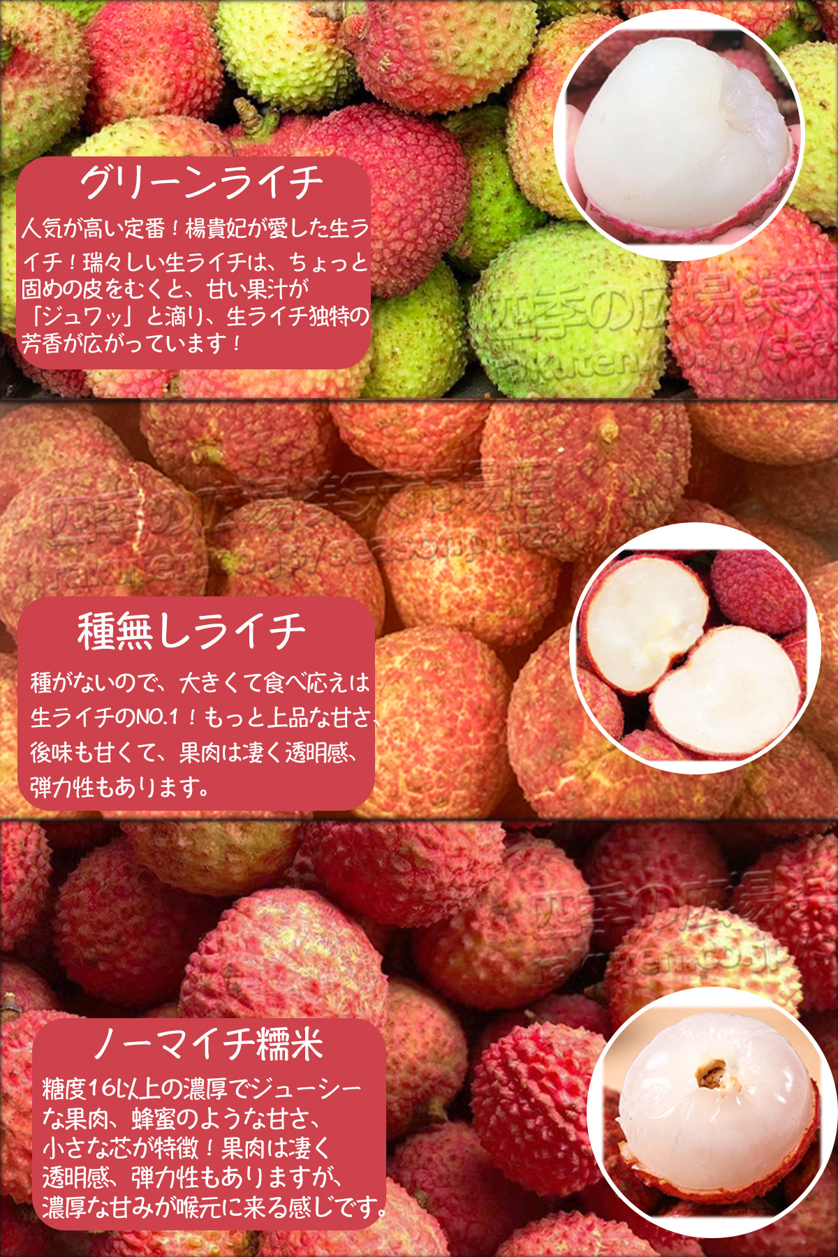 種無し生ライチ 約2kg 約40玉前後 大玉｜中国産 無核ライチ