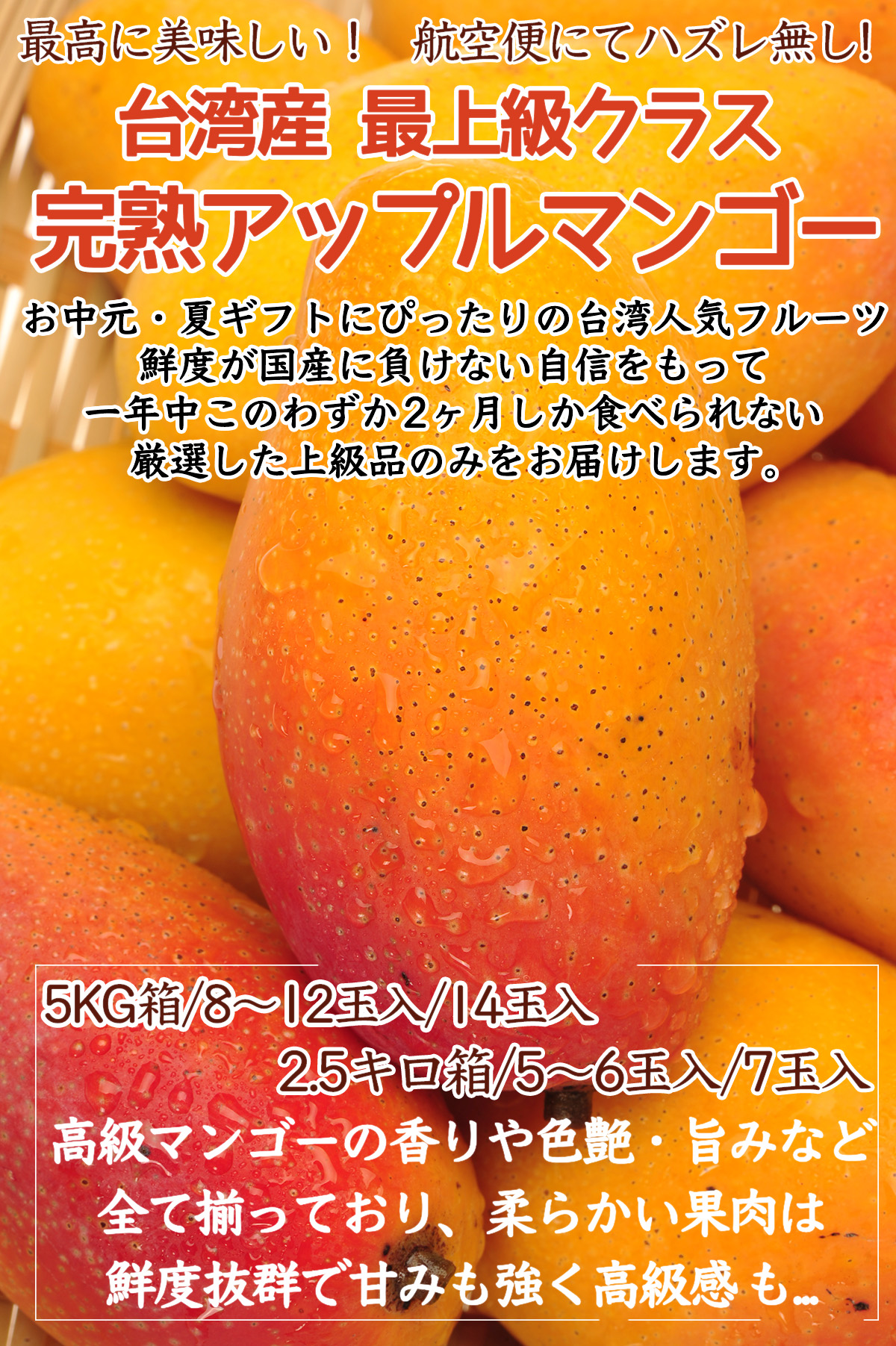 完熟台湾マンゴー 約5kg（8〜12玉入）大玉 空輸 特選最上級 化粧箱 