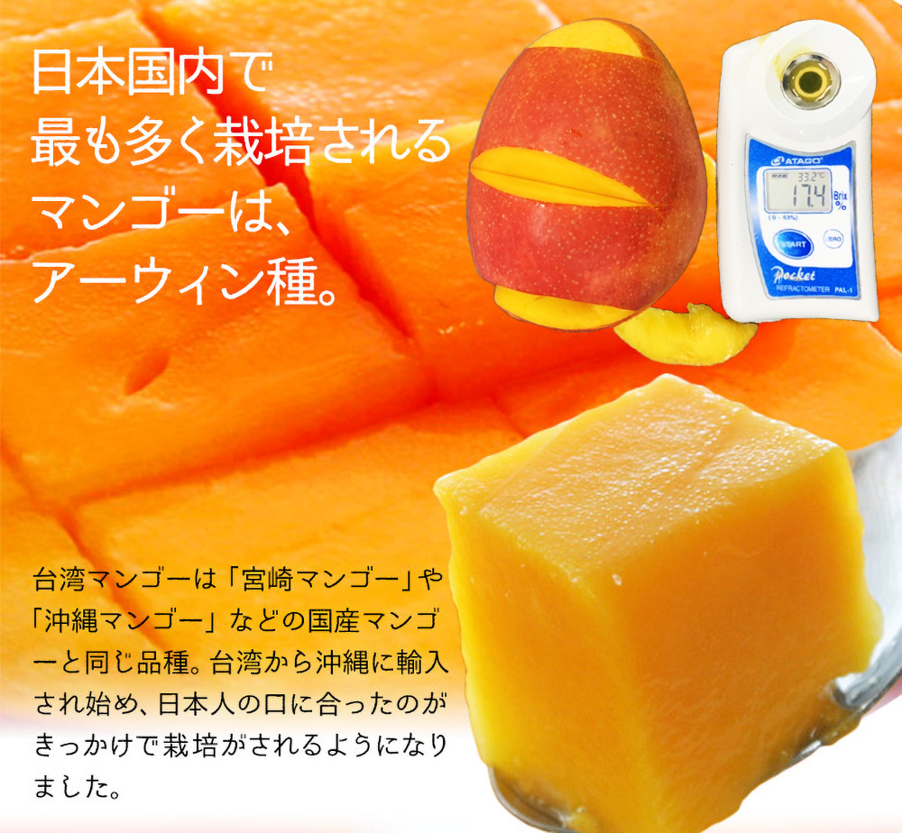 完熟台湾マンゴー 約5kg（8〜12玉入）大玉 空輸 特選最上級 化粧箱