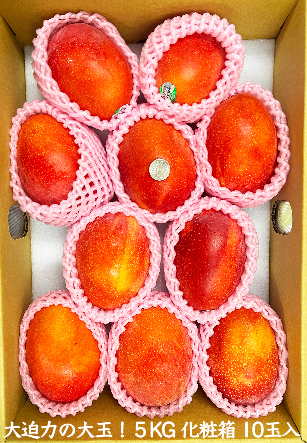 空輸【ペルー産】新鮮アップルマンゴー 9~12個入 約5kg 箱売り 送料無料 マンゴー 5kg」の人気商品一覧 | 安い商品を通販サイトから探す - 価格.com