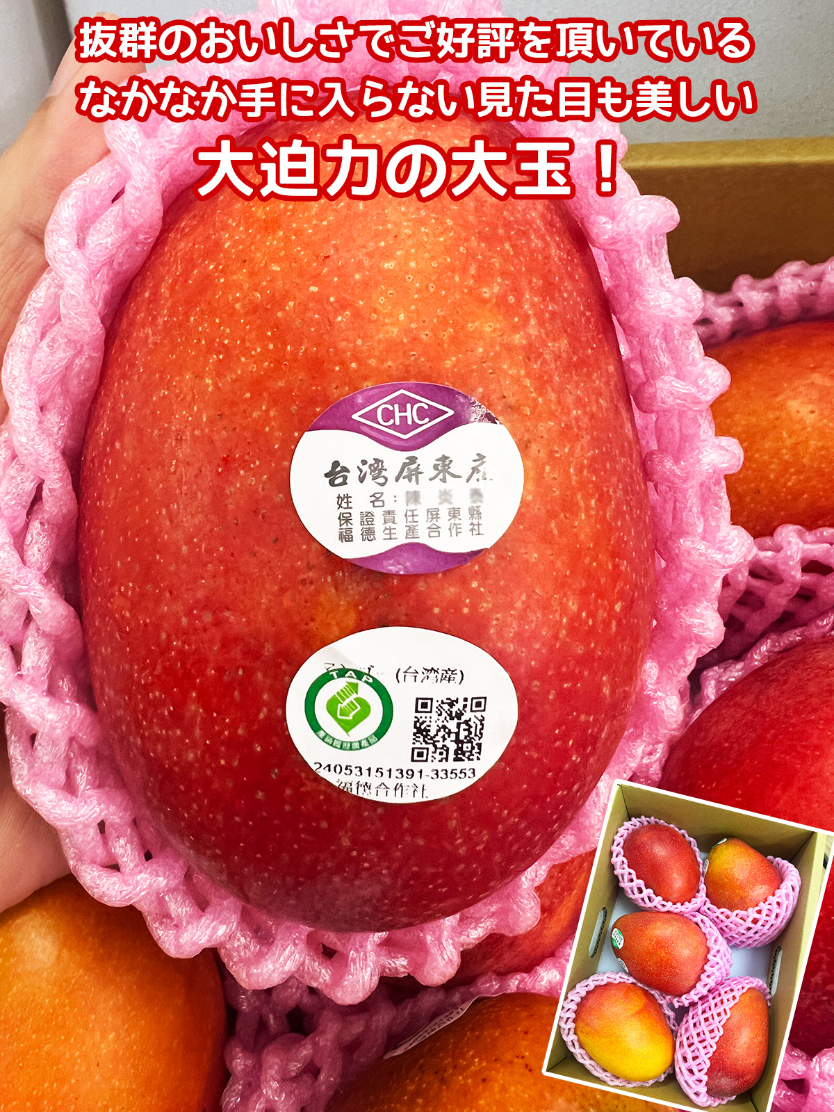 完熟台湾マンゴー 約5kg（8〜12玉入）大玉 空輸 特選最上級 化粧箱
