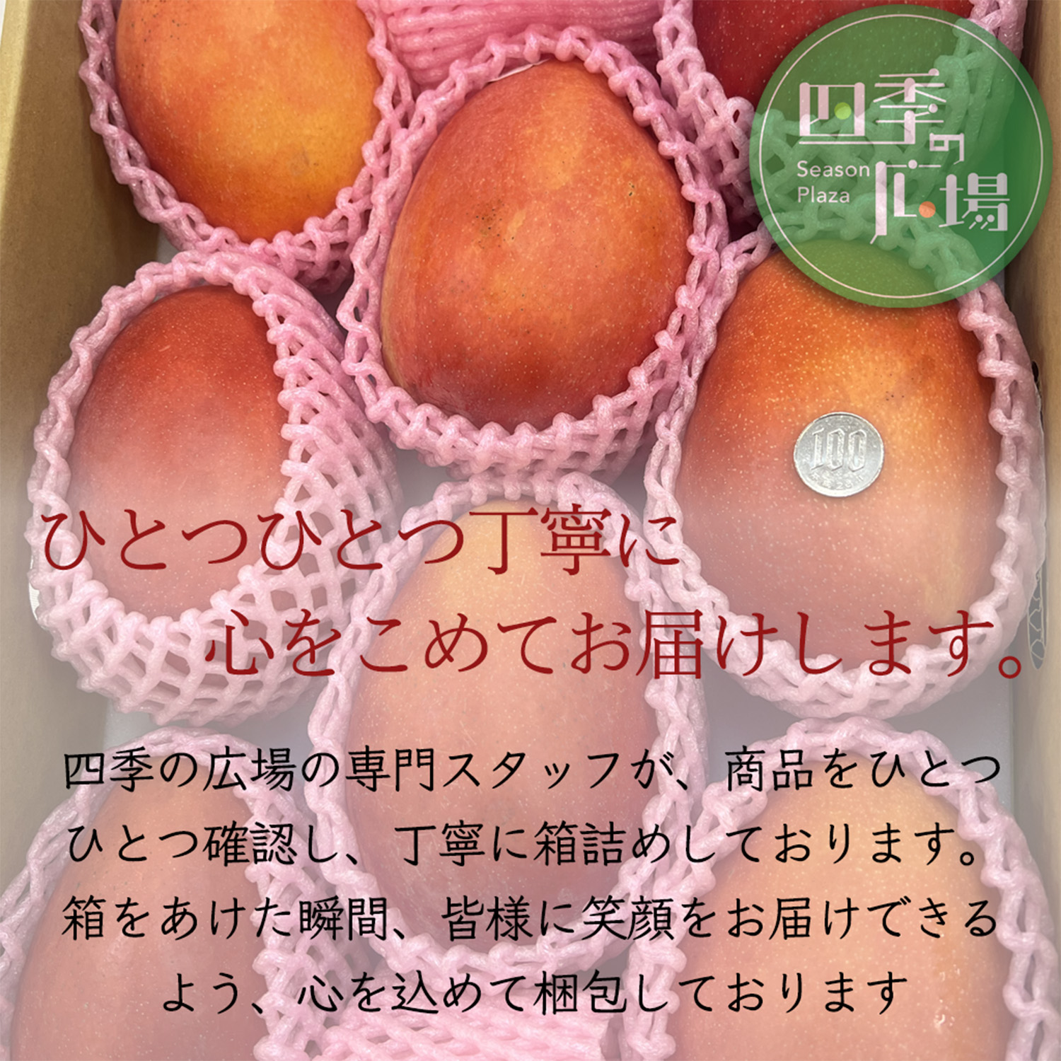 空輸【ペルー産】新鮮アップルマンゴー 9~12個入 約5kg 箱売り 送料無料 完熟台湾マンゴー 約5kg（8〜12玉入）大玉 空輸 特選最上級 化粧箱