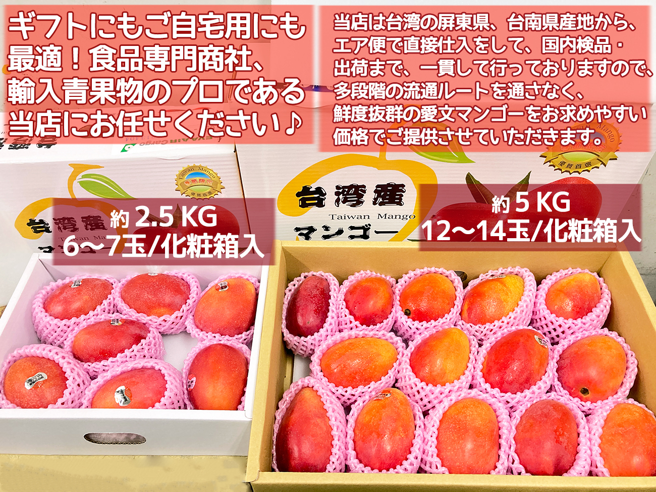 完熟台湾マンゴー 約2.5kg（5〜6玉入）大玉 化粧箱入り 空輸 特選最 
