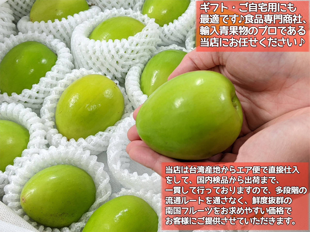 191.新鮮台湾ナツメ　台湾青棗 (１８~24玉)玉数お任せ Amazon.co.jp: 台湾青枣约2.5kg/箱18〜22個入，台湾ナツメ 約2.5kg 箱