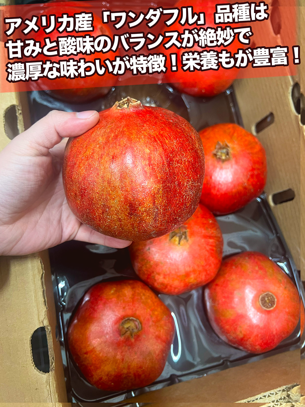 生ザクロ 約1kg（3〜5玉入）空輸 特選｜チリ産・アメリカ産｜ 鮮やかな