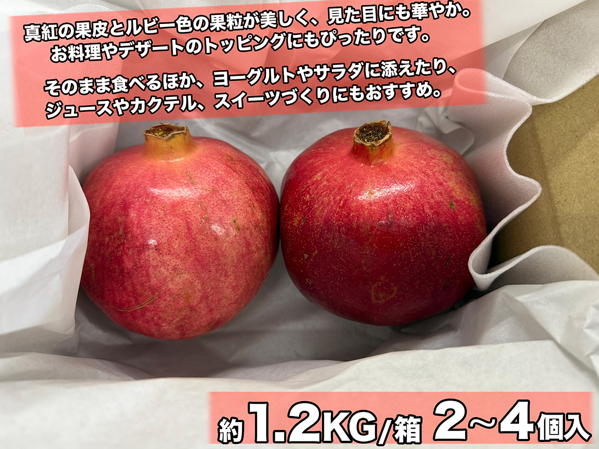 生ザクロ 約1kg（3〜5玉入）空輸 特選｜チリ産・アメリカ産｜ 鮮やかな