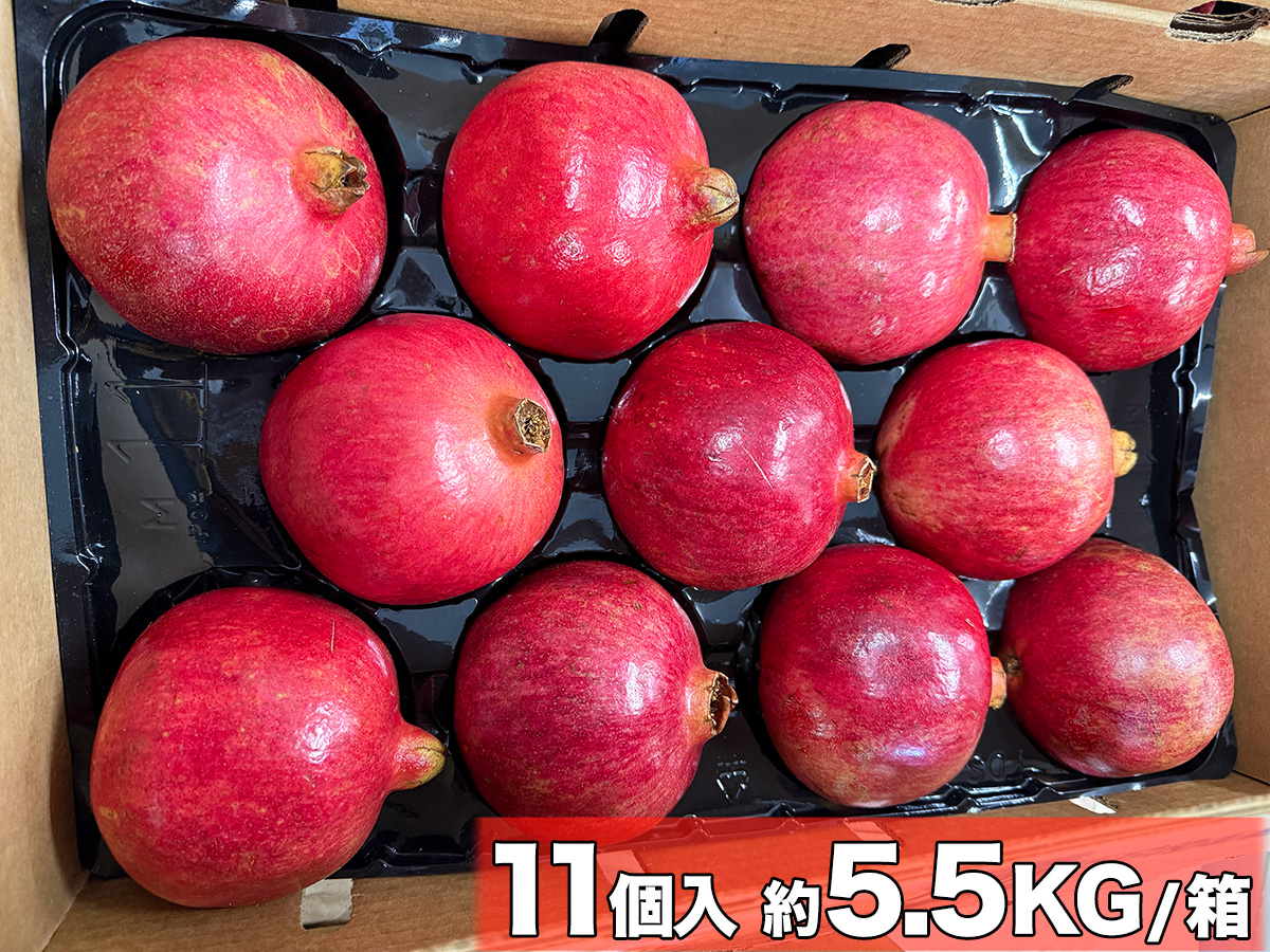 生ザクロ 約2kg（6〜10玉入）空輸 特選｜チリ産・アメリカ産｜ 鮮やか