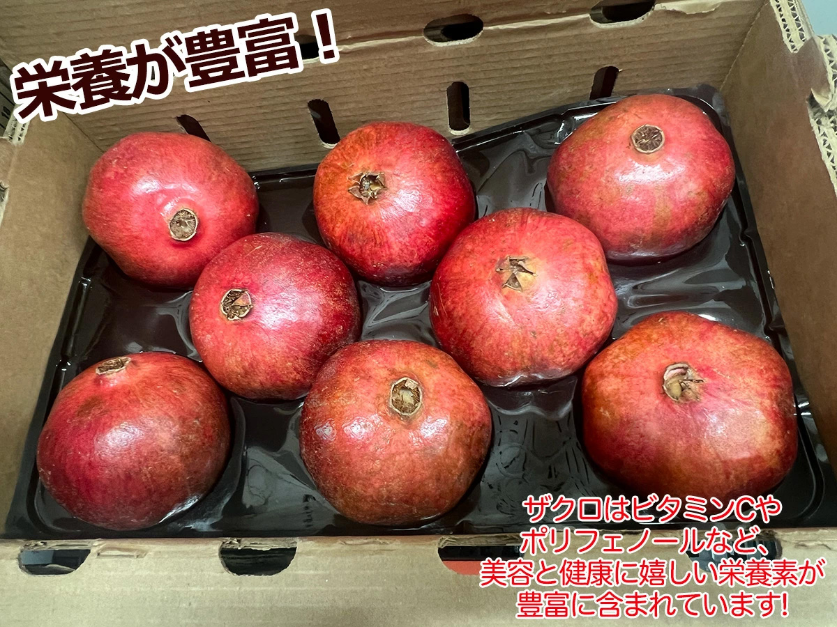 新鮮ザクロ　1箱 約5kg Amazon.co.jp: 生ザクロ 柘榴 約1kg（3〜5個入）空輸 特選クラス チリ