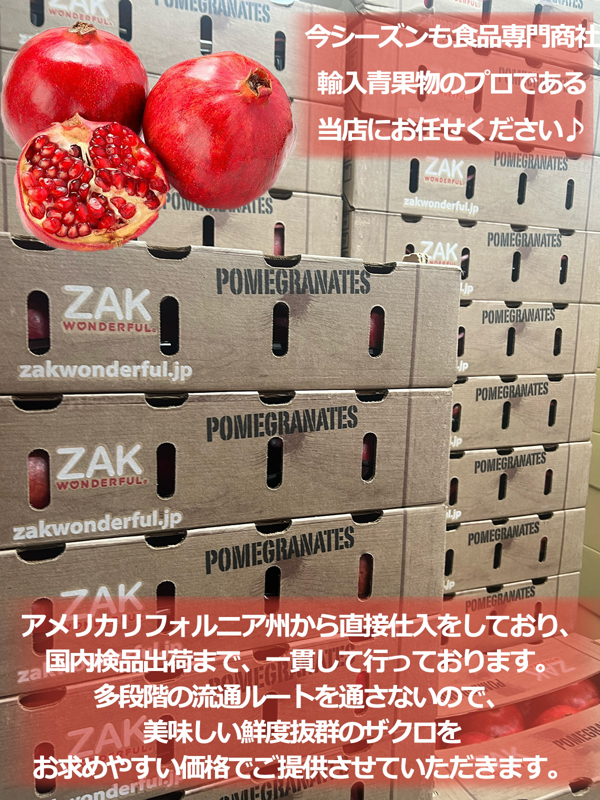 新鮮ザクロ一箱 生ザクロ 約1kg（3〜5玉入）空輸 特選｜チリ産・アメリカ産｜ 鮮やかな