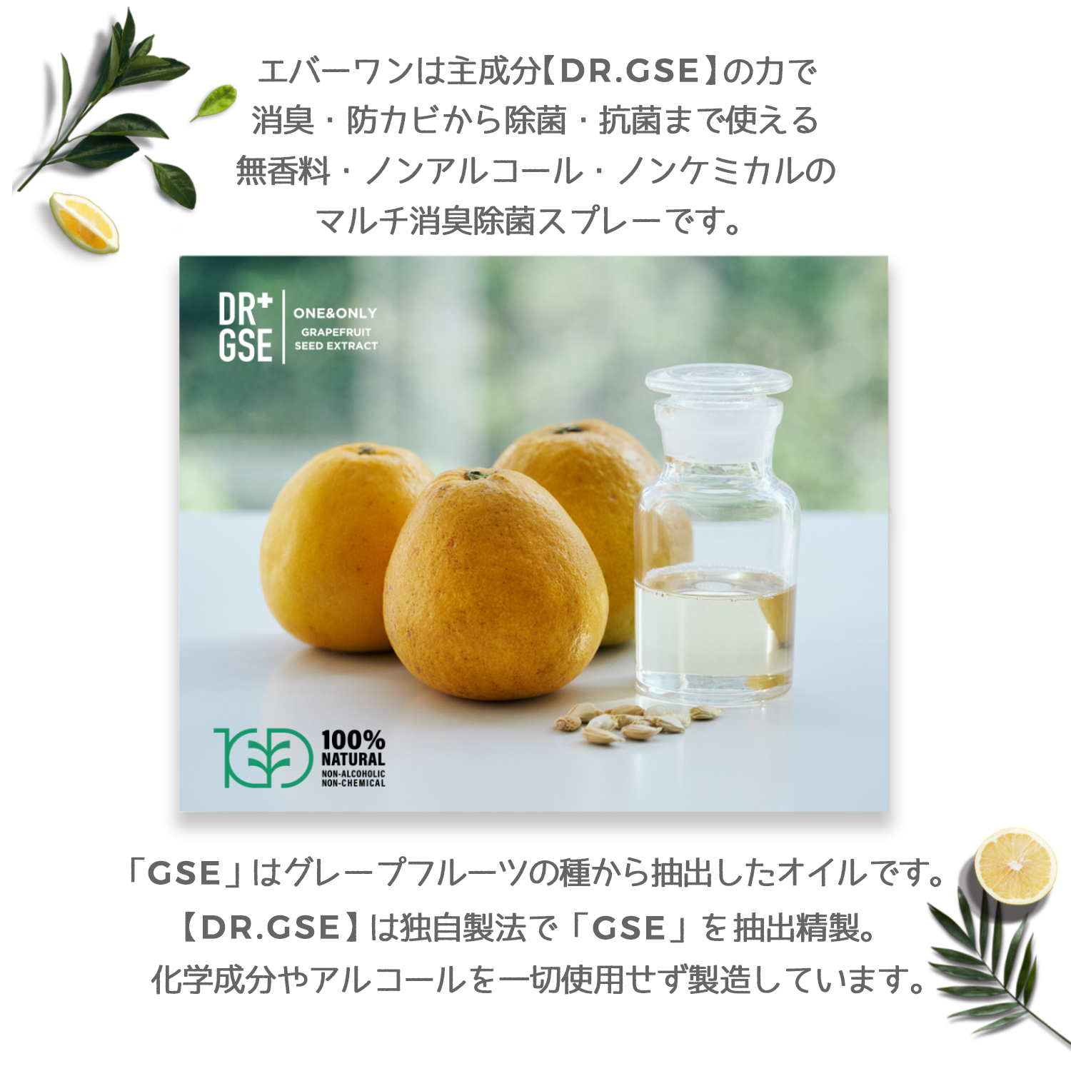 Everone エバーワン マルチコーティング除菌剤 2L 詰め替え用 持続抗菌3カ月 抗ウイルス 防カビ 消臭 日本製 SIAA認証 除菌スプレー GSE | Everone | 03