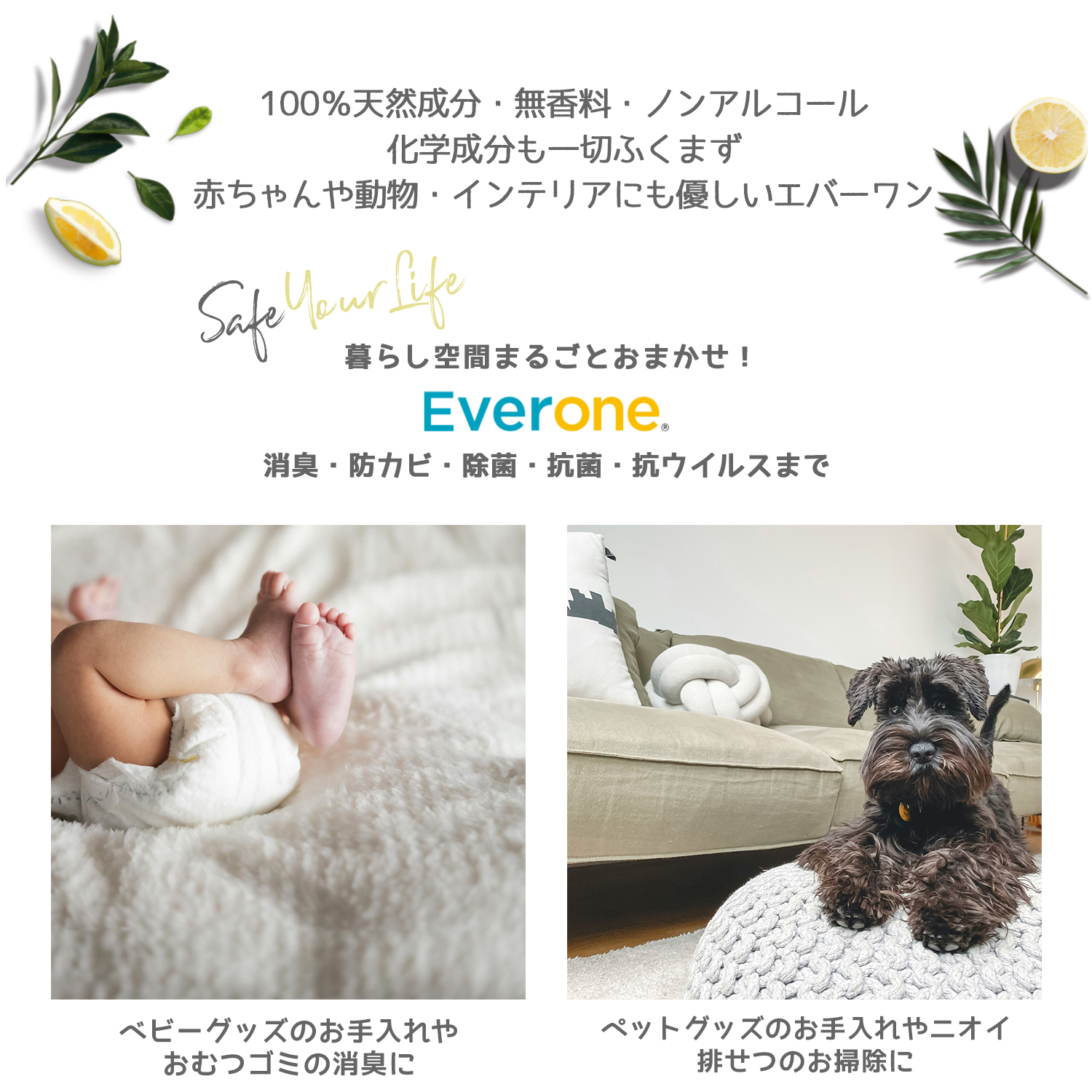 Everone エバーワン マルチコーティング除菌剤 2L 詰め替え用 持続抗菌3カ月 抗ウイルス 防カビ 消臭 日本製 SIAA認証 除菌スプレー GSE | Everone | 06