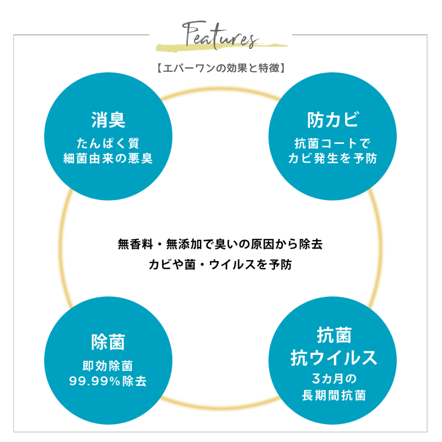 Everone エバーワン マルチコーティング除菌剤 2L 詰め替え用 持続抗菌3カ月 抗ウイルス 防カビ 消臭 日本製 SIAA認証 除菌スプレー GSE | Everone | 09