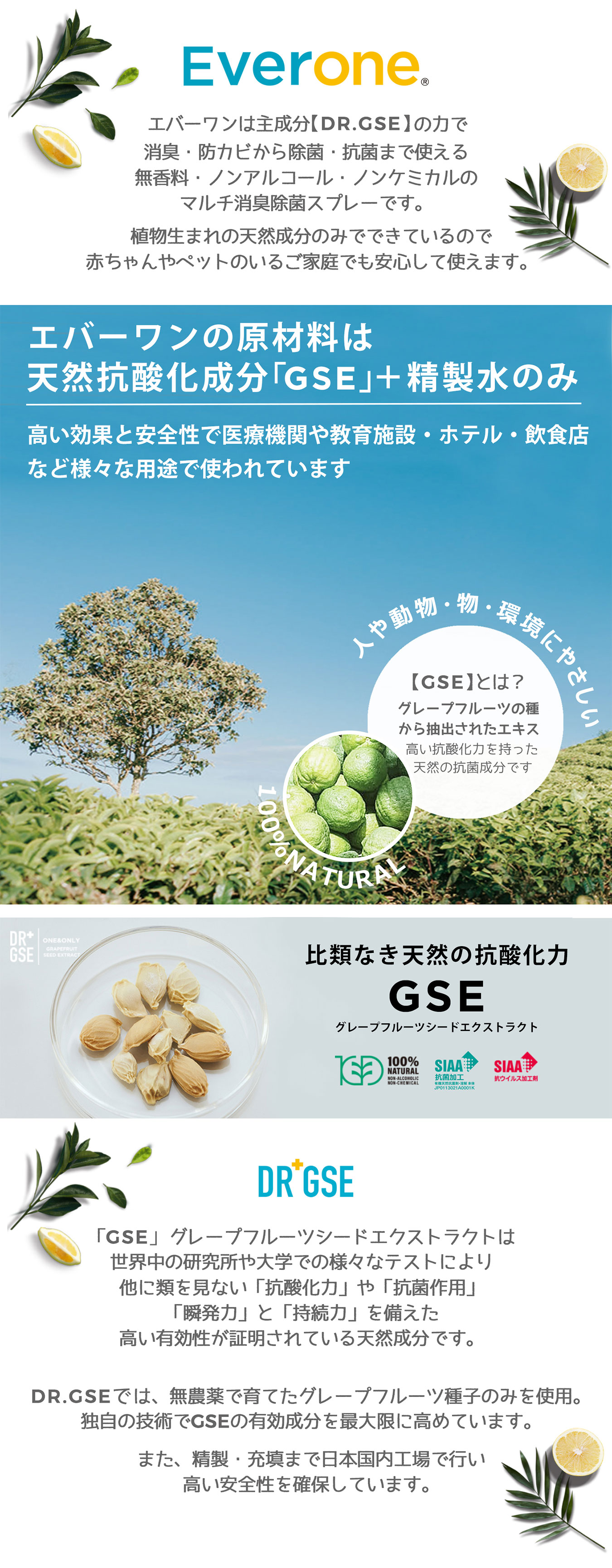 Everone エバーワン マルチコーティング除菌剤 4L 詰め替え用 持続抗菌