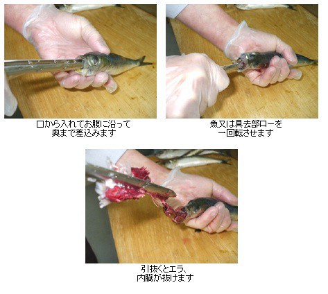 ミヤマエ ミヤ具去部ロー ぐさぶろー S : 釣具屋 セクター - 通販 