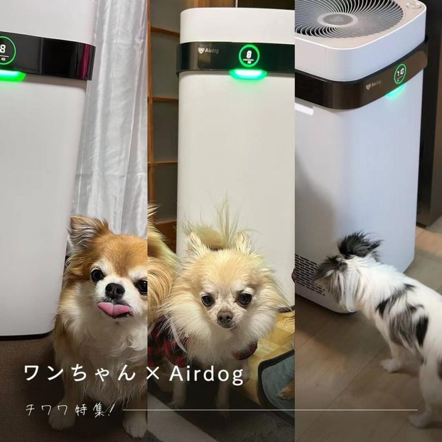 【NEW新登場】Airdog X5D エアドッグ フラッグシップパフォーマンスモデル 高性能 co2センサー 搭載 キャスター付 空気清浄機 静音 ー  交換不要 イオン