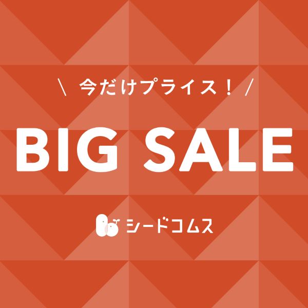限定クーポンSALE