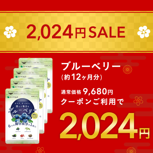 大容量SALE★2,024円 サプリ サプリメント ブルーベリー 約12ヵ月分 アントシアニン ビルベリー