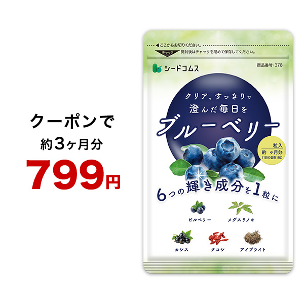 注目ブランドのギフト ブルーベリー ルテイン 40球 ユウキ製薬 送料あり