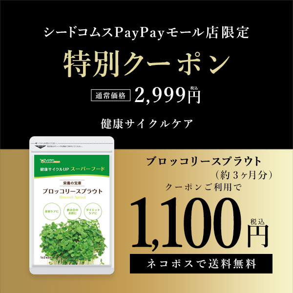 新作商品 激安 激安特価 送料無料 クーポンで1100円 ブロッコリースプラウト サプリ サプリメント 約3ヵ月分 you-plaza.sakura.ne.jp you-plaza.sakura.ne.jp