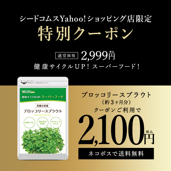 クーポンで★899円割引！ブロッコリースプラウト サプリ サプリメント 約3ヵ月分