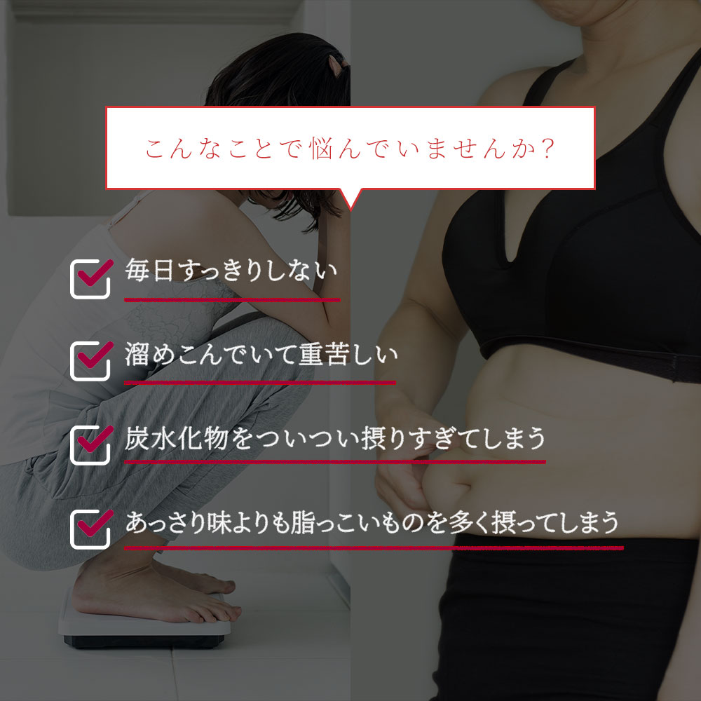 炭 チャコール配合 サラシアブラック 約6ヵ月分 サプリ サプリメント ダイエット 関連画像2