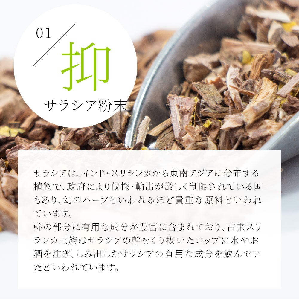 炭 チャコール配合 サラシアブラック 約6ヵ月分 サプリ サプリメント ダイエット 関連画像5