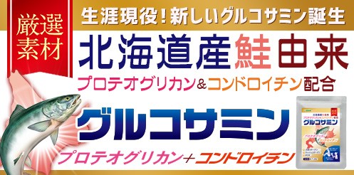 サプリ サプリメント プロテオグリカン 北海道産 鮭由来 コンドロイチン配合 2型コラーゲン配合グルコサミン コンドロイチン Msm 約1ヵ月分 シードコムスpaypayモール店 通販 Paypayモール