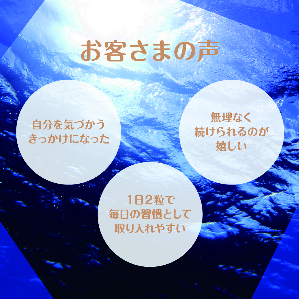 seedcoms（シードコムス） サプリ サプリメント 鮫肝油スクワレン 約1
