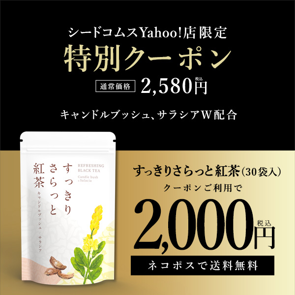 山本漢方のイチョウ葉エキス茶 10g×20包