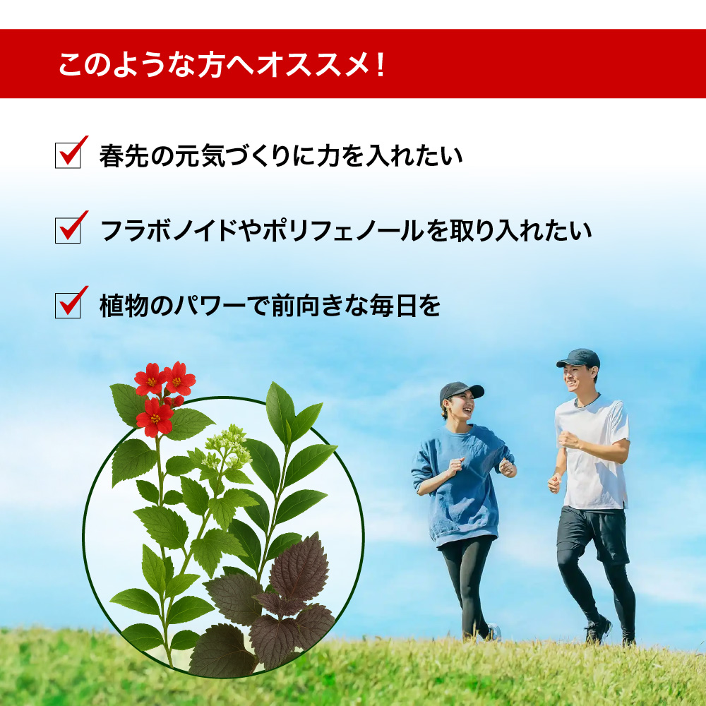 seedcoms（シードコムス） 甜茶エキス 約3ヵ月分 サプリ サプリメント