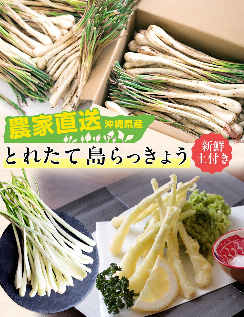 風味絶佳 沖縄県産 島らっきょう2kg 生（土付き） 送料無料 : 風味絶佳